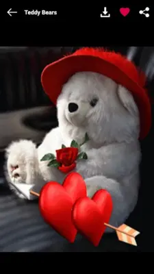 Teddy Bears GIF android App screenshot 5